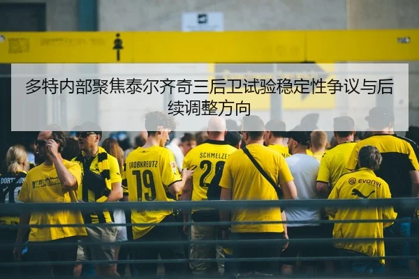 多特内部聚焦泰尔齐奇三后卫试验稳定性争议与后续调整方向
